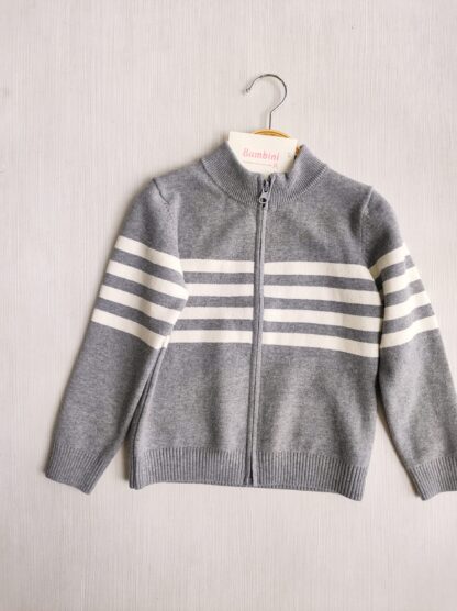 Campera stripes - Imagen 2