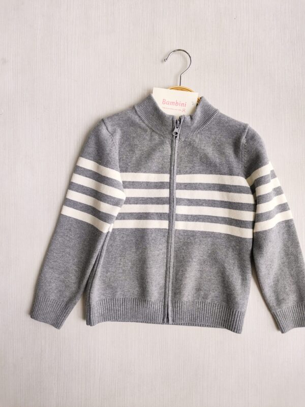 Campera stripes - Imagen 2