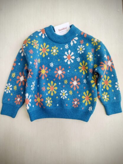 sweater blue
