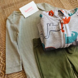 Conjunto dino