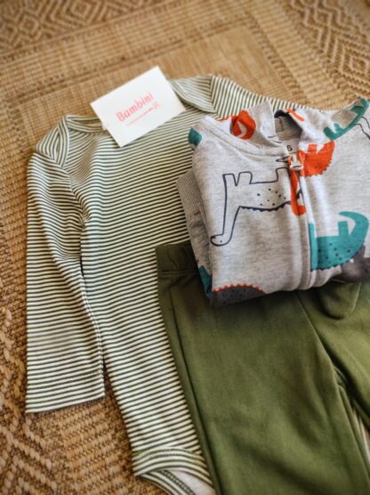 Conjunto dino