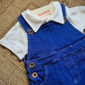 Jardinero jean clásico